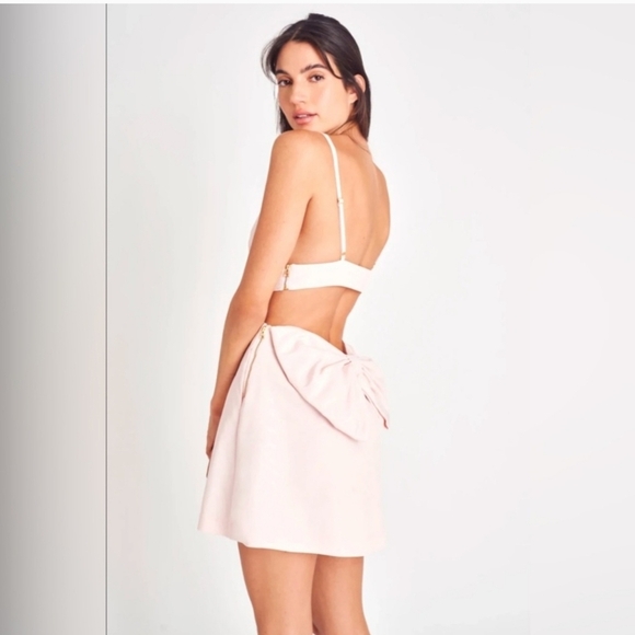 New LoveShackFancy Till Bow Embellished Pink Mist Mini Dress Size 10 NWT - Picture 6 of 14